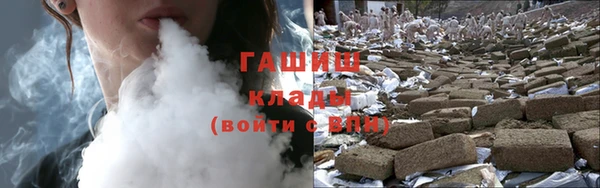 стаф Богданович