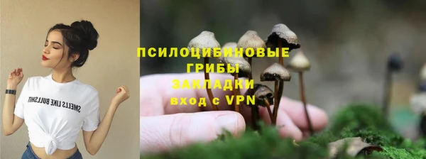 2c-b Верея
