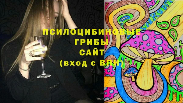 стафф Богородск