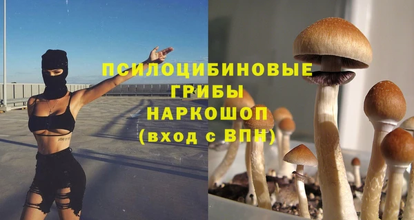 2c-b Верея