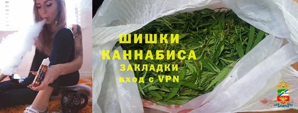 стаф Богданович