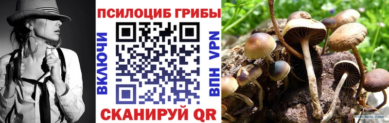 Галлюциногенные грибы мицелий  Иланский 