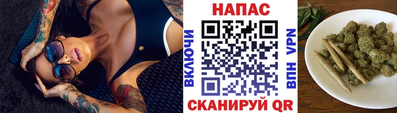 Бошки Шишки семена  Иланский 